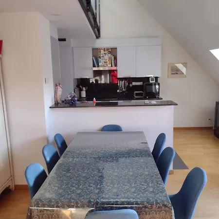 Executive Rooftop Flat In Zúrich