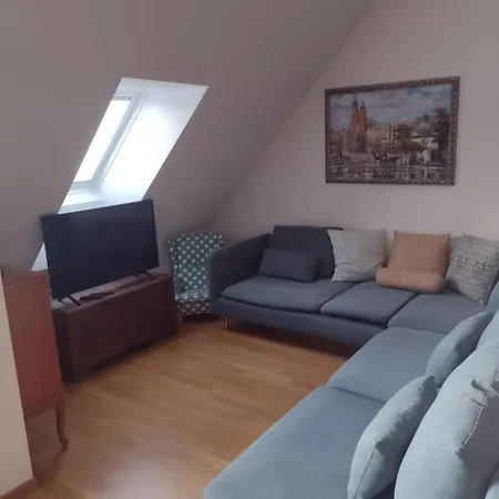 Executive Rooftop Flat In Apartamento *