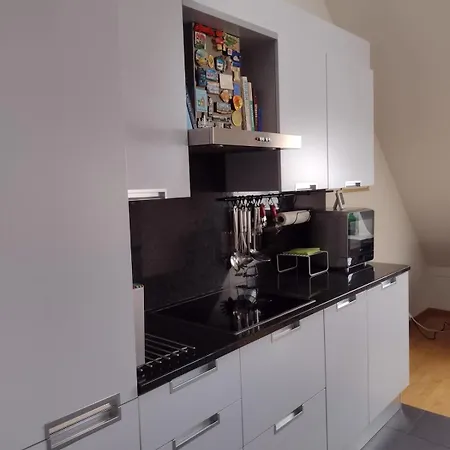 Apartamento Executive Rooftop Flat In Zúrich